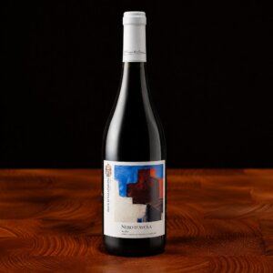 Nero d'Avola - Duca di Salaparuta bottiglia 75 cl
